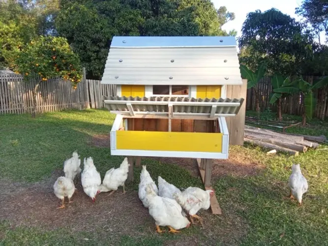 PROPRIEDADE PARA GALINHAS A VENDA