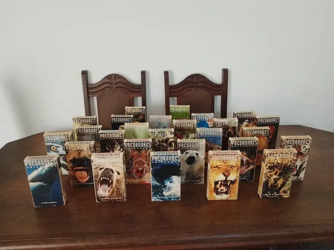 Coleção completa predadores selvagens