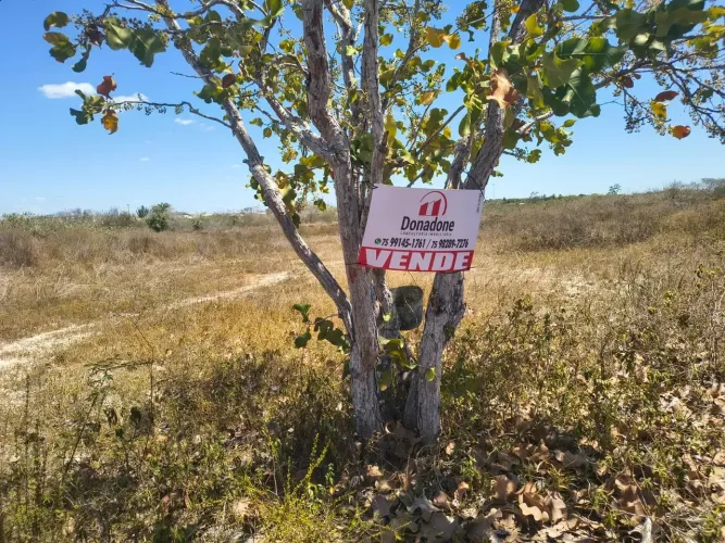 Terreno de 10.890 m² com Alto Potencial Comercial e de Valorização