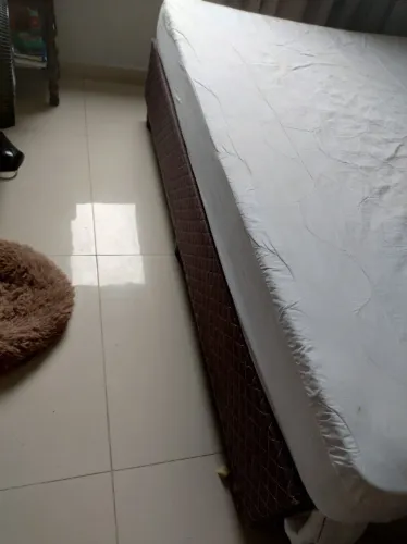 Cama box