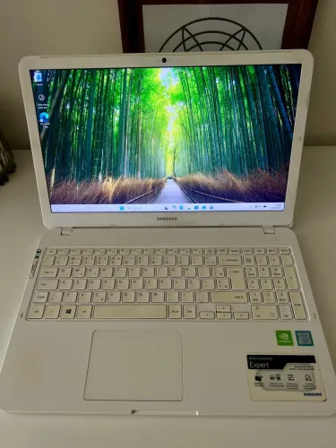 Samsung expert X40 i5 1 TB 8G