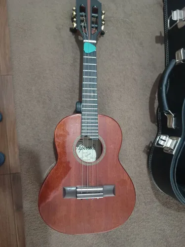 Cavaquinho, instrumento