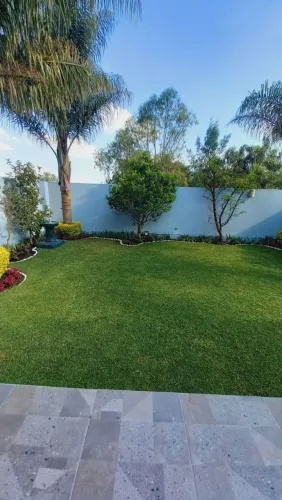 Jardineiro Niterói e região oceânica |pouda,manutenção, paisagismo, corte de grama e+