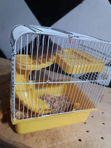 Gaiola completa
