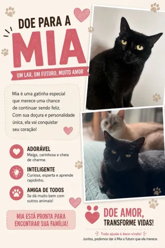 GATA CASTRADA