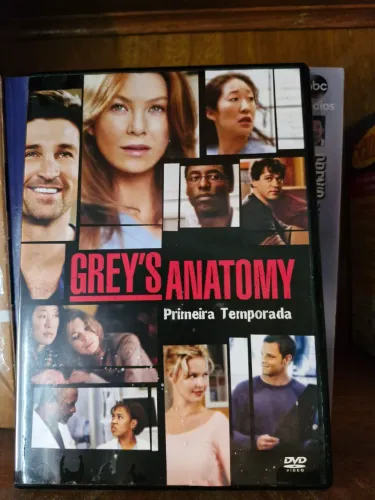 Dvd's série Greys Anatomy, temporadas 1 a 10 completas. Produto seminovo