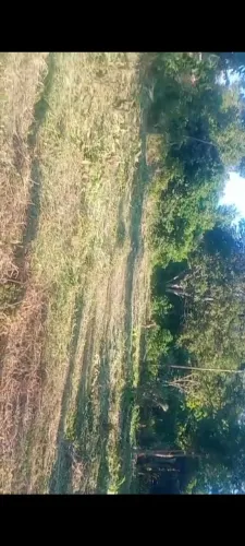 Terreno na ilha de Santana