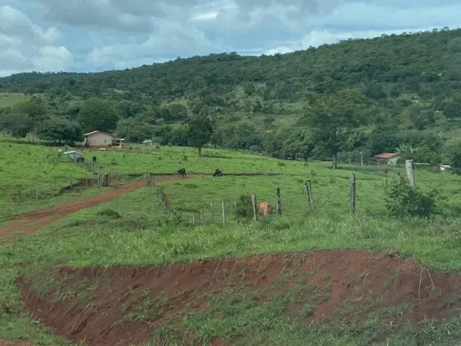 FAZENDA À VENDA 43,6 ALQUEIRES- NIQUELÂNDIA/GO