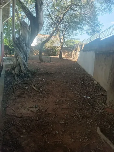 Roça mato