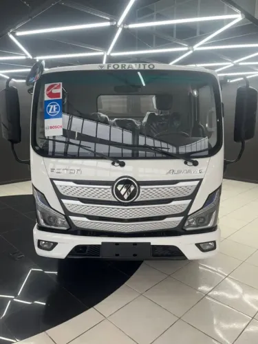 Foton Aumark 315 CNH B