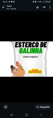 Esterco de galinha puro