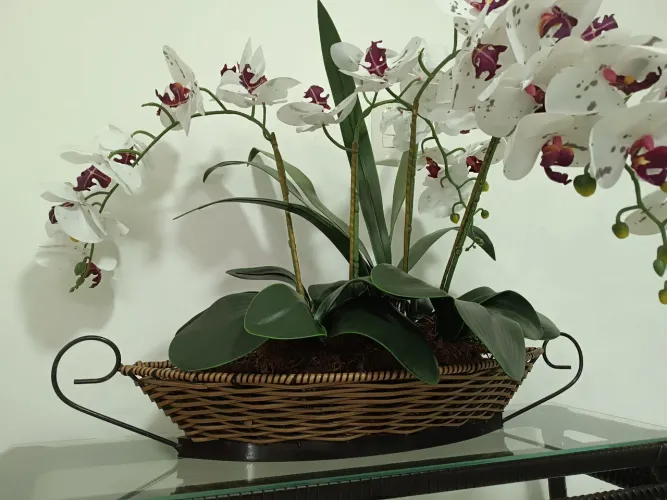 Arranjo de orquídeas em vaso de ferro e vime