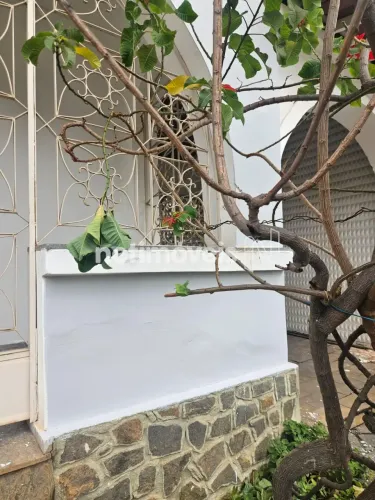 Venda Casa Padre Eustáquio Belo Horizonte