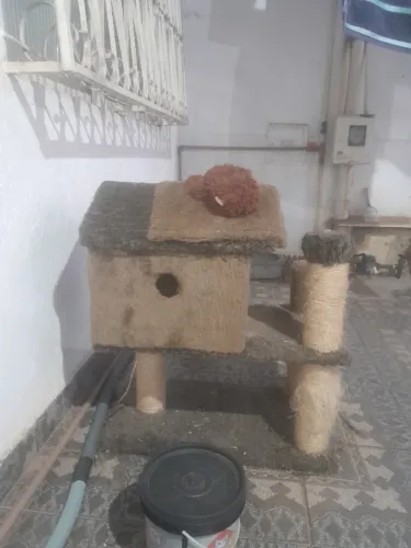 Gatos e Acessórios para doação.