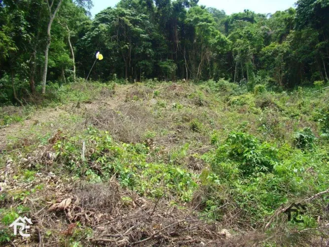 Terreno à venda, 10559 m² por R$ 1.600.000,00 - São Francisco - Niterói/RJ