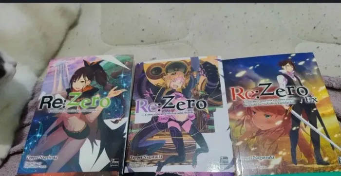 Desapego livros de Re:Zero!!! Livros novos, em perfeito estado
