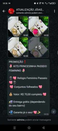 Kit princesinha passeio 