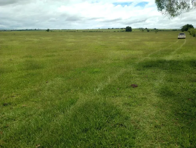 Fazenda 250 Alqueires Área para Plantio de aproximadamente 240 Alqueires Excelente Aprovei
