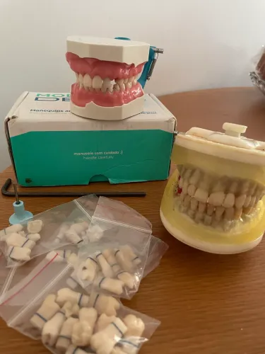 Manequim Dentistica (P Oclusal) + manequim de Perio 