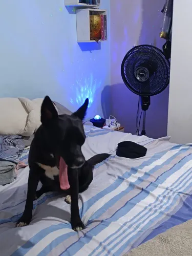 DOAÇÃO RESPONSÁVEL