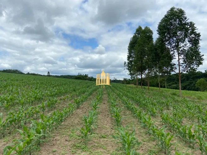 Fazenda à venda em Esmeraldas-MG, São José: 7 quartos, 4 salas, 5 banheiros, 10 vagas de g