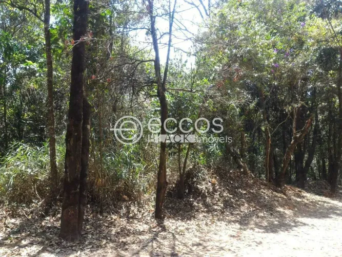 Terreno em condomínio à venda, Pasárgada - Nova Lima/MG