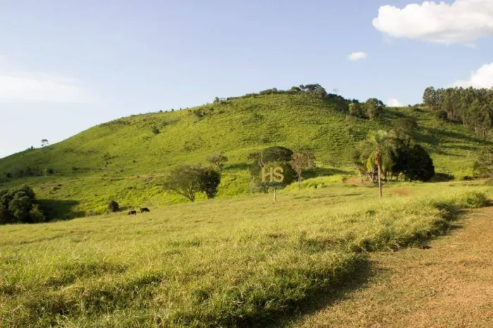 Fazenda com 90 alqueires localizada em Guaraniaçu.