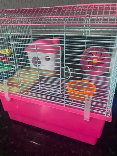 Casinha de hamster 
