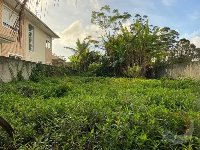 Lote/Terreno para venda possui 360 metros quadrados em Santa Mônica - Florianópolis - SC
