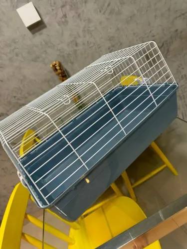 Gaiola para hamster ou porquinho da índia