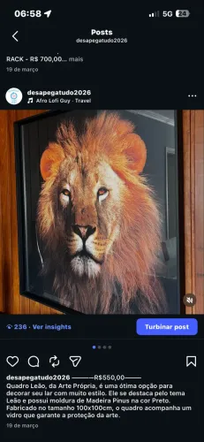 Quadro leão 