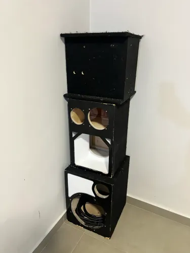 Vendo estrutura de som