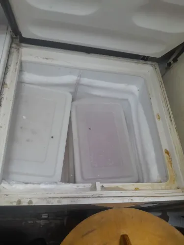Frezzer 220v metalfrio