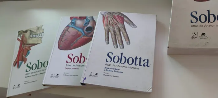 ANATOMIA Sobotta 23° edição seminovo
