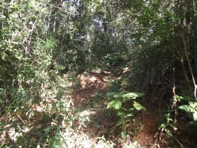 Chácara de 5.000m² com córrego de águas cristalinas, Jaboticatubas (Temos varias opções)