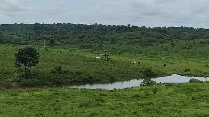 R$ 5 milhões 492 hectares no Pará com 70% aberta