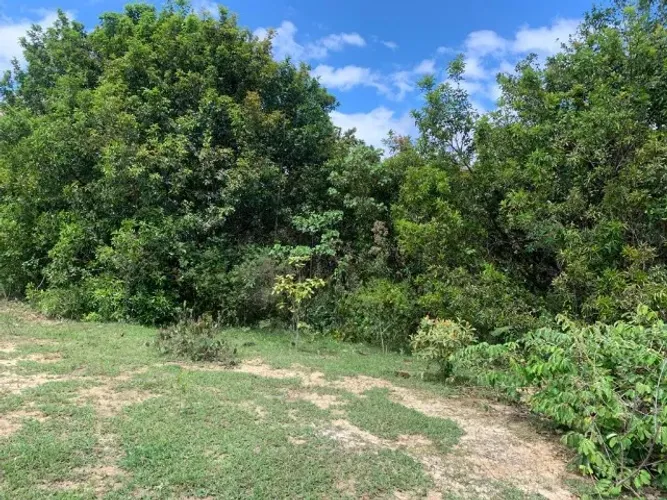 Chácaras de 20.000m² com nascente, Jaboticatubas(Temos varias opções). Jaboticatubas