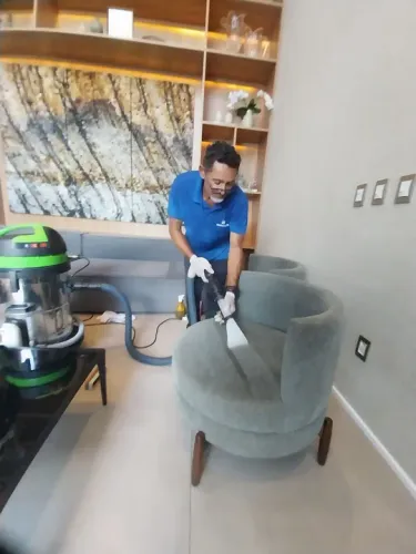 Serviço de Limpeza de Sofás Profissional