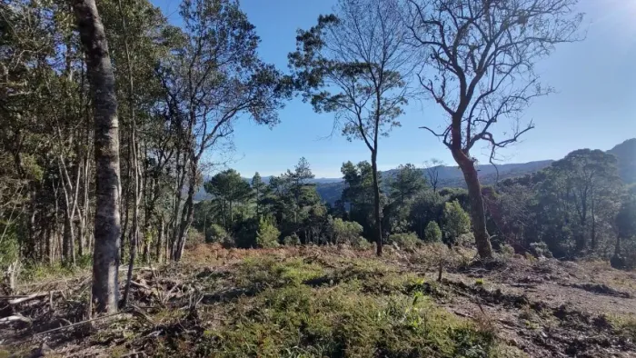Linda chácara de 2 hectares à venda em Serra do Panelão, Urubici-SC
