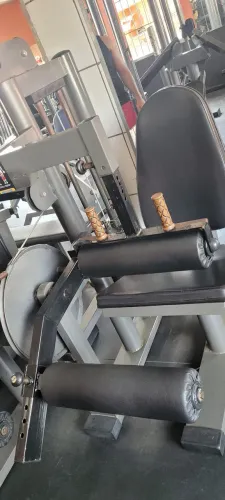 Banco flexor para Academia