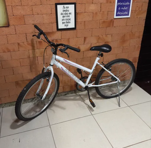 Bicicleta Feminina Aro 24