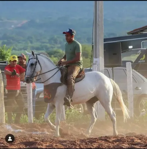 Cavalo de esteira