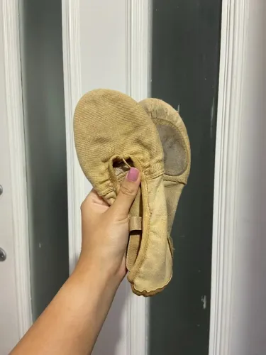 Sapatilha Evidence