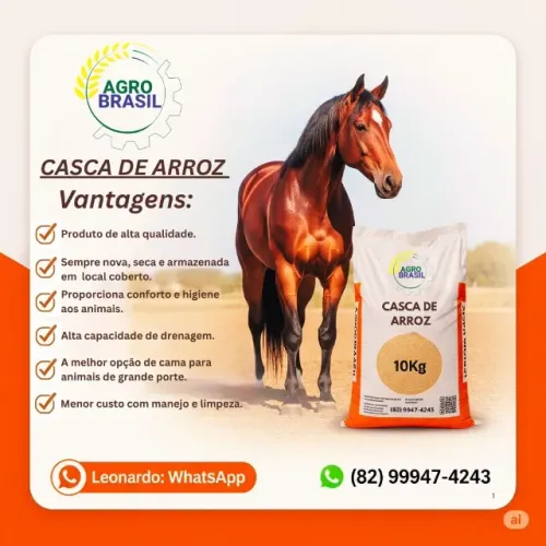 Palha de Arroz / Casca de Arroz para Cavalos