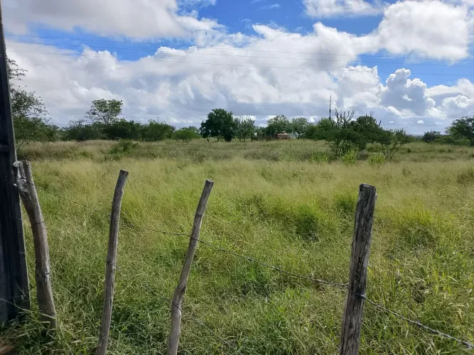 Tarefa de terra ideal para chácara.