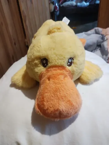 Pato pelúcia