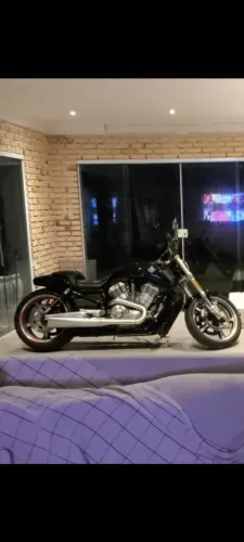 HARLEY DAVIDSON V ROD MUSCLE