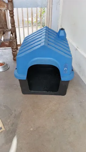 Casinha de cachorro 