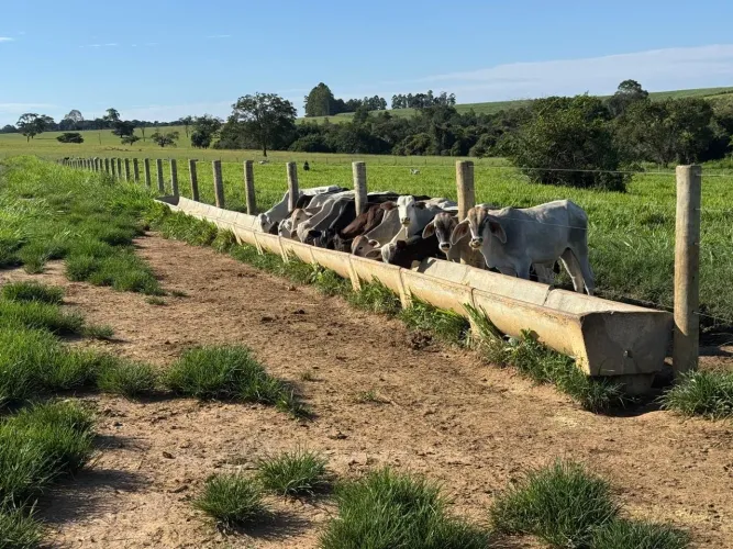 Fazenda em Itauçu GO