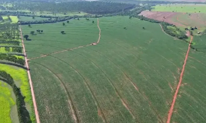 Fazenda para venda no PR. NOROESTE.